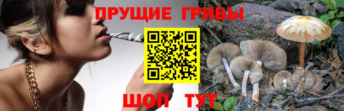 Галлюциногенные грибы GOLDEN TEACHER Хасавюрт
