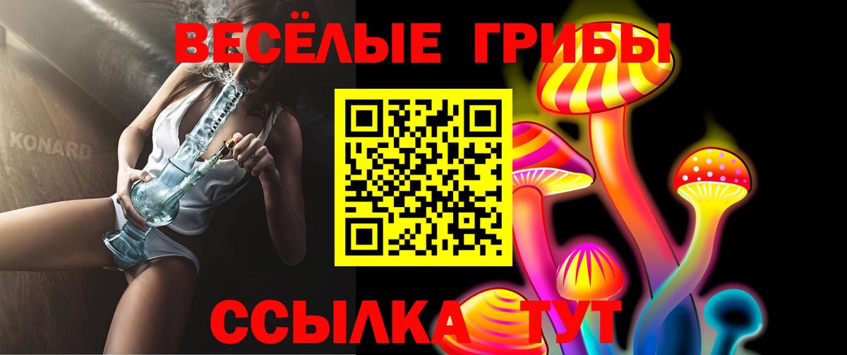 Хасавюрт  Псилоцибиновые грибы мицелий  Вход с VPN 